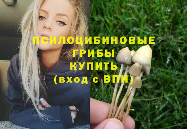 соль ск Алексин