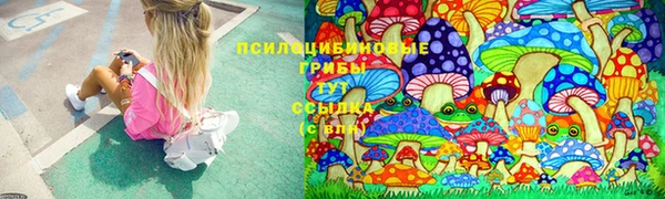 героин Абаза