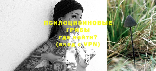 PSILOCYBIN Абдулино