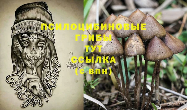 героин Абаза